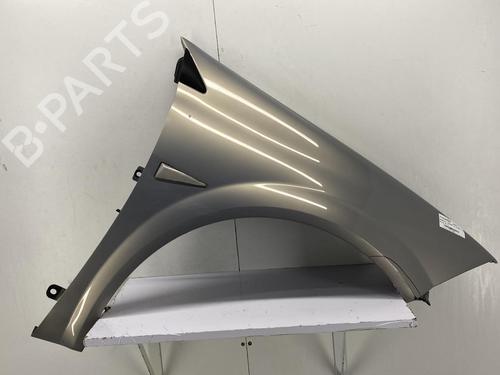 Right front fenders RENAULT MEGANE II Estate (KM0/1_) 1.6 | BP22851401C42 