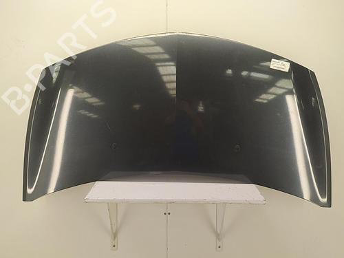 Used Hood RENAULT CLIO III (BR0/1, CR0/1) 1.5 dCi (C/BR0G, C/BR1G) (68 hp) 22856491