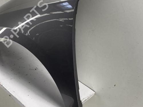 Left front fenders RENAULT LAGUNA Coupe (DT0/1) 2.0 dCi (DT01, DT08, DT09, DT0K, DT12, DT1C, DT1D, DT1M,... | BP29375504C41 