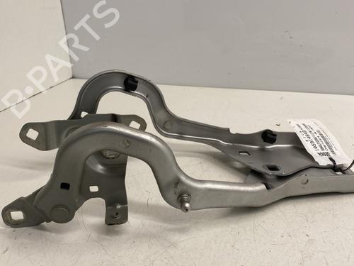 Hinge/Door check strap RENAULT SCÉNIC IV (J9_) 1.2 TCe 115 | BP26683707C146 
