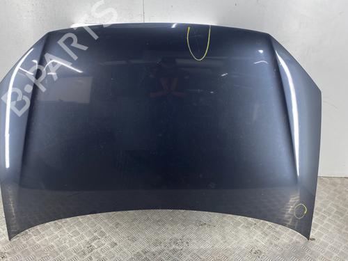 Used Hood VW POLO IV (9N_, 9A_) 1.4 TDI (70 hp) 32116232