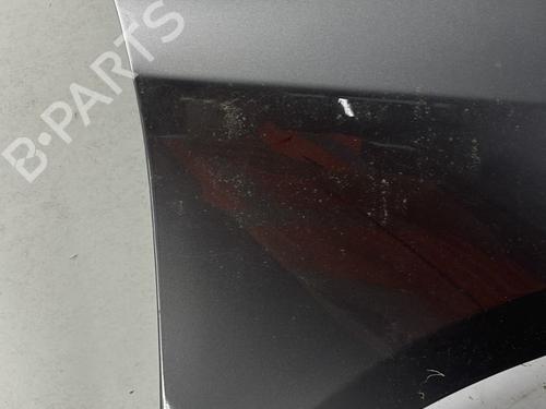 Right front fenders RENAULT LAGUNA Coupe (DT0/1) 2.0 dCi (DT01, DT08, DT09, DT0K, DT12, DT1C, DT1D, DT1M,... | BP29299499C42 