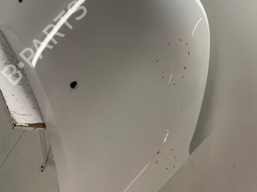 hood-citroen-c3-iii-sx-2016-39760736 main image