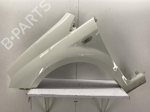Left front fenders FIAT PUNTO EVO (199_) 1.3 D Multijet (199AXC1A, 199BXC1A, 199AXT1A, 199BXT1A) 6000630350