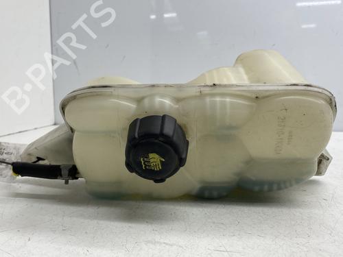 Used Expansion tank NISSAN JUKE (F15) 1.5 dCi (110 hp) 29299381