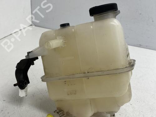 Expansion tank TOYOTA VERSO S (_P12_) 1.4 D4-D (NLP121_, NLP121R) | BP29968938C120