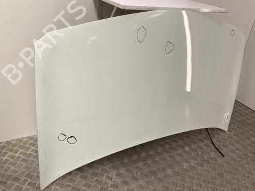 Hood RENAULT MEGANE II (BM0/1_, CM0/1_) 1.9 dCi (BM0G, CM0G) | BP22858523C1