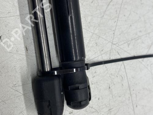 Tailgate lift support RENAULT MEGANE III Coupe (DZ0/1_) 1.6 dCi (DZ00, DZ12, DZ2A, DZ13) | BP26452158C138 