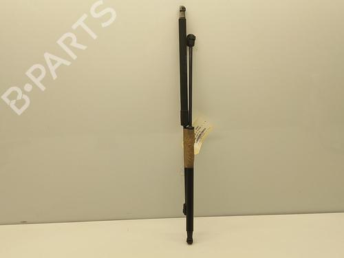 Tailgate lift support SKODA FABIA II (542) 1.4 TDI | BP22850353C138 