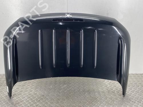 Used Tailgate PEUGEOT 206 CC (2D) 1.6 HDi 110 (109 hp) 22854782