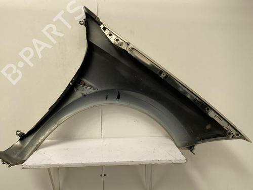 Left front fenders RENAULT MEGANE II Coupé-Cabriolet (EM0/1_) 1.9 dCi | BP22855207C41 