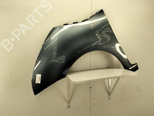 Left front fenders CITROËN C4 Picasso I MPV (UD_) 1.6 HDi | BP22850175C41 