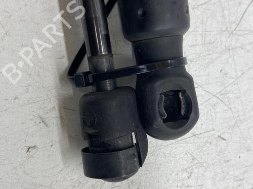 Tailgate lift support VW GOLF V (1K1) 1.9 TDI | BP26224219C138 