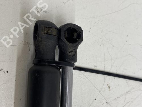Tailgate lift support RENAULT LAGUNA Coupe (DT0/1) 2.0 dCi (DT01, DT08, DT09, DT0K, DT12, DT1C, DT1D, DT1M,... | BP29375519C138 