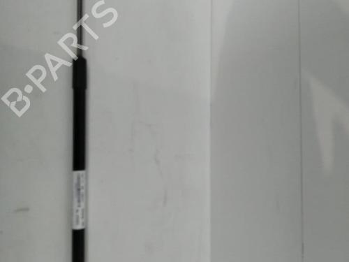 Used Hood lift support VW GOLF VII (5G1, BQ1, BE1, BE2) 1.6 TDI (115 hp) 22855519