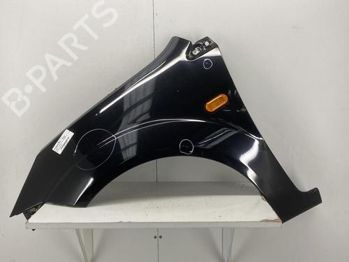 Left front fenders FORD FIESTA V (JH_, JD_) 1.4 TDCi | BP22851745C41 