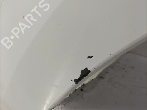 Left front fenders RENAULT KANGOO Express (FW0/1_) 1.5 dCi 85 (FW0K, FW0L, FW0B) | BP22860351C41 