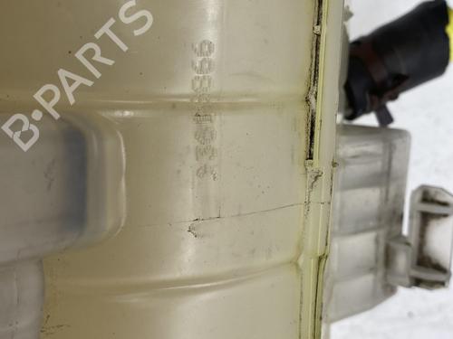 Expansion tank RENAULT KANGOO Express (FW0/1_) 1.5 dCi 85 (FW0K, FW0L, FW0B) | BP22860339C120 