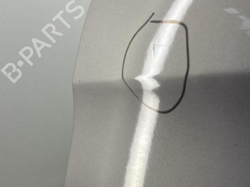 Left front door CITROËN XSARA PICASSO (N68) 2.0 HDi | BP22849596C2 