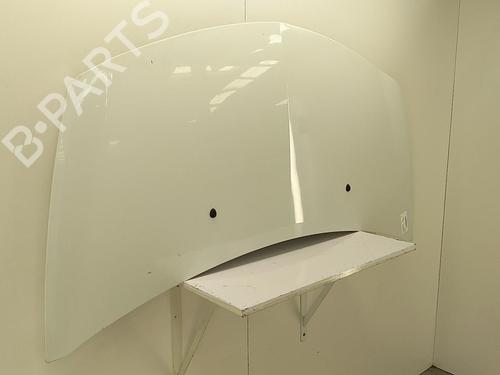 Hood RENAULT CLIO III (BR0/1, CR0/1) 1.5 dCi (C/BR0G, C/BR1G) | BP22855575C1 