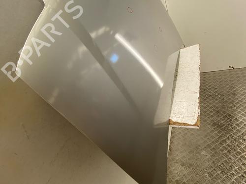 Used Hood Hood FIAT PANDA (169_) 1.2 (169.AXB11, 169.AXB1A) (60 hp) 34149095 34149095