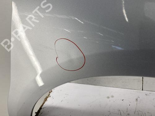 Right front fenders CITROËN C4 II (NC_) 1.6 HDi 90 | BP23831021C42