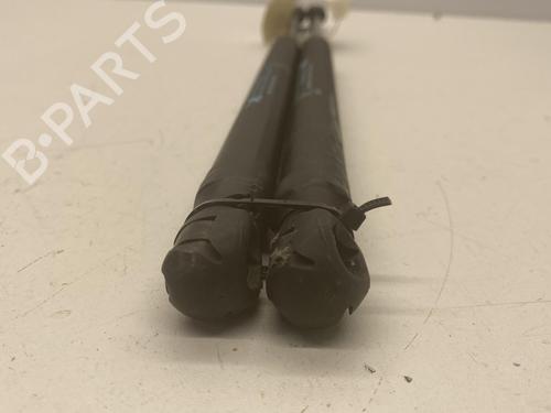 Tailgate lift support CITROËN C3 I (FC_, FN_) 1.4 i | BP22852231C138 