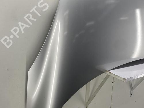 Hood RENAULT SCÉNIC III (JZ0/1_) 1.5 dCi | BP22856212C1