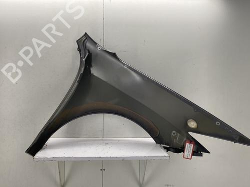 Left front fenders RENAULT LAGUNA Coupe (DT0/1) 2.0 dCi (DT01, DT08, DT09, DT0K, DT12, DT1C, DT1D, DT1M,... | BP29375504C41 