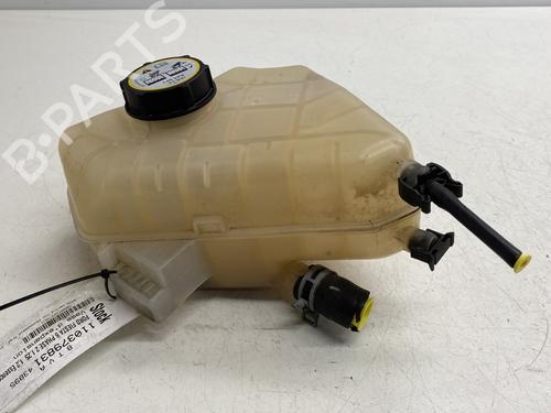 Used Expansion tank FORD FIESTA VI (CB1, CCN) 1.25 (82 hp) 28015781
