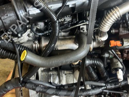 Used Engine Engine FORD FIESTA V (JH_, JD_) [2001-2014] 30859783 30859783