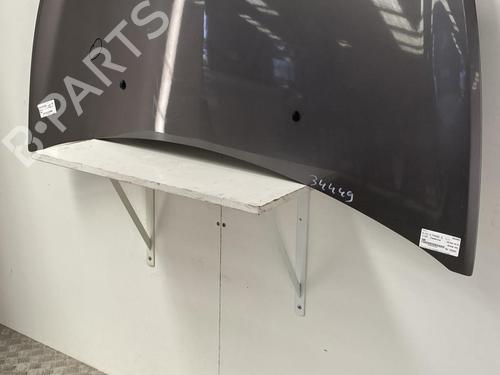 Hood RENAULT CLIO III (BR0/1, CR0/1) 1.2 16V (BR0P, CR0P) | BP22855156C1 
