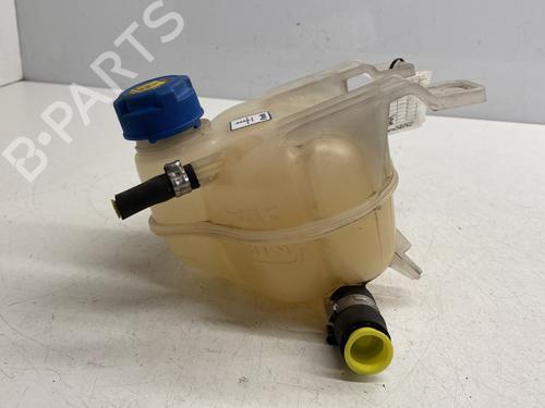 Expansion tank FIAT GRANDE PUNTO (199_) 1.3 D Multijet | BP28015753C120 