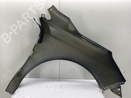 Left front fenders CITROËN C4 II (NC_) 1.6 HDi 90 | BP29299383C41 