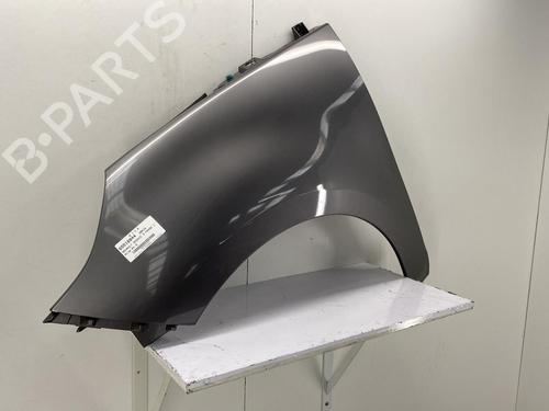 Left front fenders RENAULT SCÉNIC III (JZ0/1_) 1.5 dCi | BP22850581C41 