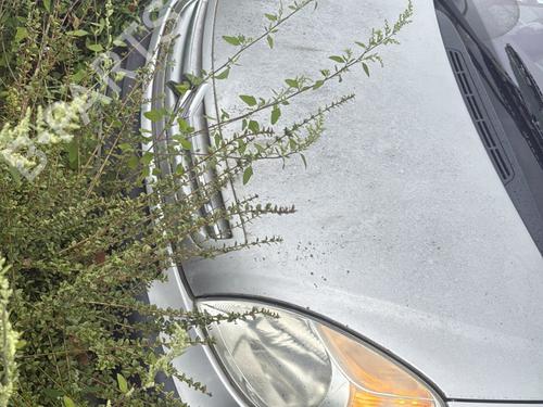 ABS pump CITROËN XSARA PICASSO (N68) 1.6 HDi | BP32468859M43 