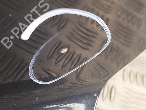 Left front door PEUGEOT 207 (WA_, WC_) 1.4 HDi | BP22855062C2 