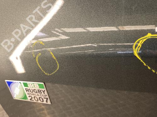 Left front door PEUGEOT 307 (3A/C) 1.6 HDi | BP29528898C2 