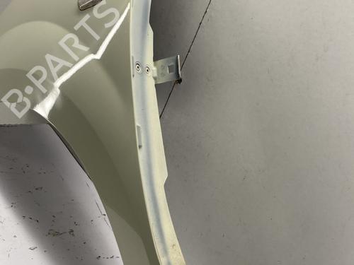 Left front fenders RENAULT TWINGO II (CN0_) 1.2 16V (CN04, CN0B) | BP29528869C41 
