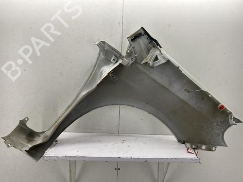 Left front fenders FIAT PUNTO EVO (199_) 1.3 D Multijet (199AXC1A, 199BXC1A, 199AXT1A, 199BXT1A) | BP29375473C41 