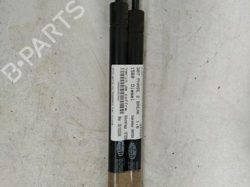 Gassdemper Bakluke PEUGEOT 307 Break (3E) 1.6 HDi 110 (109 hp) 22855344