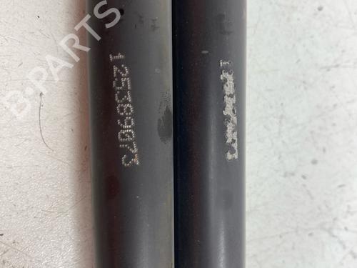 tailgate-lift-support-renault-scenic-iii-jz01_-2008-2009-2010-2011-2012-2013-2014-2015-2016-36802243 main image