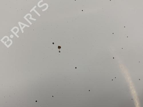Used Hood RENAULT KANGOO Express (FW0/1_) 1.5 dCi 85 (FW0K, FW0L, FW0B) (86 hp) 22852581