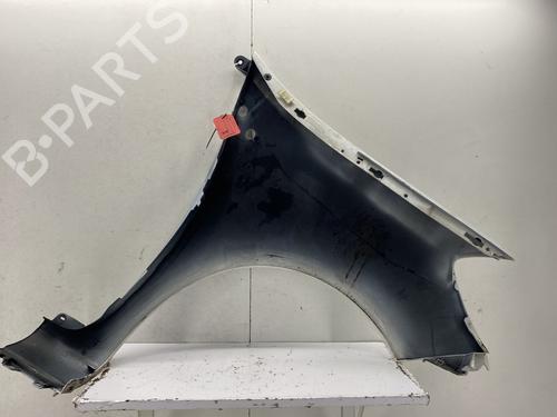 Left front fenders RENAULT CLIO III (BR0/1, CR0/1) 1.5 dCi (C/BR0G, C/BR1G) | BP29968946C41
