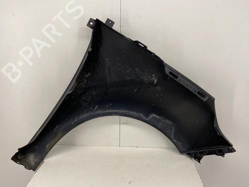 Left front fenders RENAULT SCÉNIC III (JZ0/1_) 1.5 dCi | BP22850117C41 