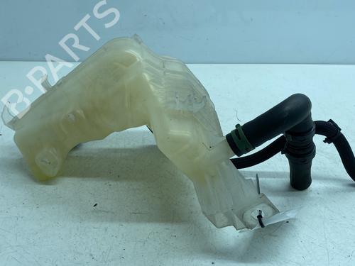 Used Expansion tank RENAULT LAGUNA Coupe (DT0/1) 2.0 dCi (DT01, DT08, DT09, DT0K, DT12, DT1C, DT1D, DT1M,... (150 hp) 29375522