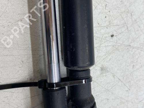 Tailgate lift support TOYOTA VERSO S (_P12_) 1.4 D4-D (NLP121_, NLP121R) | BP29968936C138