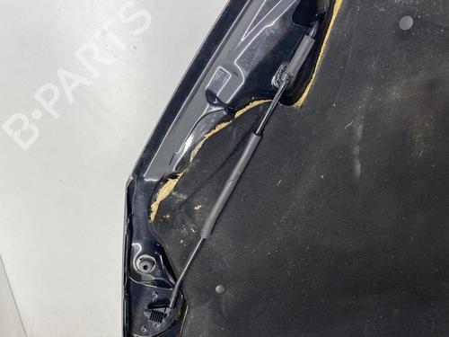 Hood PEUGEOT 407 Coupe (6C_) 2.7 HDi | BP22860185C1