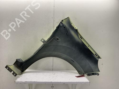 Left front fenders RENAULT TWINGO II (CN0_) 1.2 16V (CN04, CN0B) | BP29375406C41 