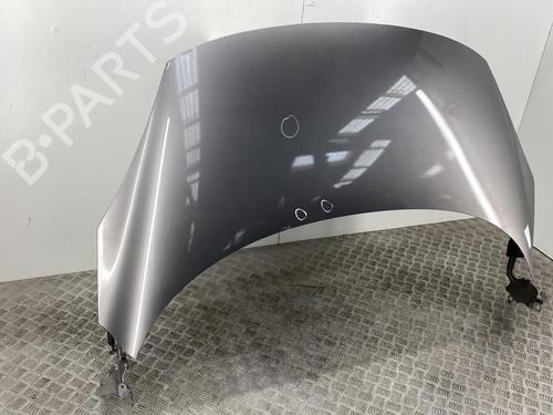 Hood RENAULT SCÉNIC III (JZ0/1_) 1.5 dCi | BP22854362C1
